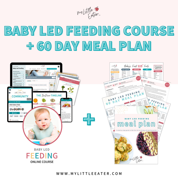 The Voyager (with My Little Eater  Baby-Led Feeding Course + Meal Plan)