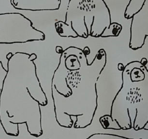 Duo Velcro Low Pocket Long Sleeve Waterproof Bib